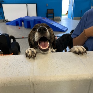 Fundraising Page: Audrey Showek